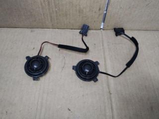 динамик высокочастотный (пищалка) Volkswagen Sharan 2 поколение 2011, 2.0 л., TDi, CFF, дизель, МКПП, черный, минивэн, передний привод, 7N0035412A