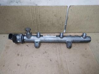 топливная рампа Audi A6 4F/C6 [рестайлинг] 2009, 2.7 л., TDi, CAN, дизель, МКПП, серебро, универсал, передний привод, 057130764H, 059130090AH, 0281002859