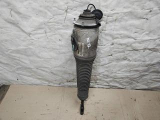 пневмостойка передняя Audi A8 D3/4E [2-й рестайлинг] 2008, 4.2 л., FSI, BVJ, бензин, АКПП, серый, седан, полный привод, 4E0616040AH