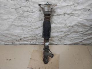 амортизатор задний Audi A6 Allroad Quattro C6 [рестайлинг] 2009, 3.0 л., TDi, CDY, дизель, АКПП, синий, универсал, полный привод, 4F0616031L