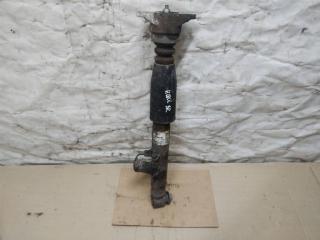 амортизатор задний Audi A6 Allroad Quattro C6 [рестайлинг] 2009, 3.0 л., TDi, CDY, дизель, АКПП, синий, универсал, полный привод, 4F0616032L