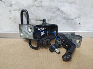 петля двери Audi A6 Allroad Quattro C6 [рестайлинг] 2009, 3.0 л., TDi, CDY, дизель, АКПП, синий, универсал, полный привод, 8E0831412E