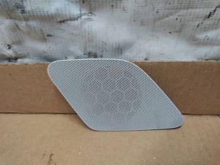 сетка на динамик Audi A6 Allroad Quattro C6 [рестайлинг] 2009, 3.0 л., TDi, CDY, дизель, АКПП, синий, универсал, полный привод, 4F9035409