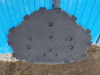 шумоизоляция капота BMW X6 E71 [рестайлинг] 2013, 3.0 л., TDi, N57 D30 A, дизель, АКПП, черный, внедорожник 5 дв., полный привод, правый руль, 7158420