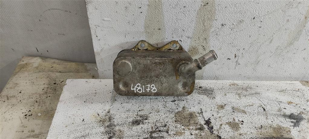 радиатор масляный Audi A4 B7 2006, 2.0 л., FSI, бензин, седан, 06D117021C, BVZ, BLR, BLX, BLY, BPJ, BWE, AXW, AXX, BWA, BMB, CDLH, CAWB, CCZA, BZC, BGB, CDMA, BWA1, CCTA, . - фото №1