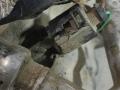 компрессор кондиционера Volkswagen Tiguan 1 поколение 2009, 1.4 л., бензин, внедорожник 5 дв., BVZ, BLG, 1K0820859P, BLP, BSE, BPY, BLR, BLX, BLY, 1K0820803S, 1K0820859F, 1K0820803L, 1K0820803N, 1K0820859S, 1K0820803F, 5N0820803C, 1K0820859M, 1K0820859E, 1K0820803P, 5N0820803A, BVX, 1K0820859T, 1K0820859C, 5Q0820803E, AXX, BWA, 5N0820803, 5N0820803H, 890632, 1K0820803C, 1K0820859D, 1K0820803E, BSF, BLF, 5K0820803H, 1K0820808DX, 1K0820808FX, 5K0820803J, 1K0820803QX, 1K0820808A, 1K0820808BX, 1K0820859H, 1K0820859N, 5K0820803, 5K0820803C, 5K0820803E, 5K0820803G, 5K0820803L, 5Q0820803J, 5Q0820803N, 5Q0820803R, 8J0260805A, 699357 - фото №5