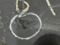 клапанная крышка Volkswagen Passat B6 2007, 1.9 л., TDi, дизель, универсал, BKC, 038103469Q, 038103469S, 038103469AD, BRU, 038103469AH - фото №2