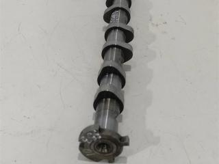 распредвал Volkswagen Passat B6 2006, 2.0 л., бензин, седан, BPY, BWA, 06F109101B, 06F109101J