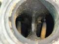головка блока цилиндров Audi A4 B6 2003, 1.8 л., бензин, AWT, AWM, AMB, AWC, AUG, AVJ, APX, BFB, BAM, AJH, AUQ, BEX, AWP - фото №15