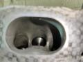 головка блока цилиндров Audi A4 B6 2003, 1.8 л., бензин, седан, AWT, AWM, AMB, AWC, AUG, AVJ, APX, BFB, BAM, AJH, AUQ, BEX, AWP - фото №23