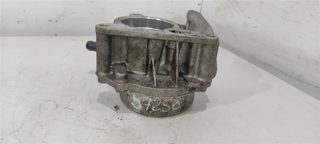 насос вакуумный Skoda Superb 2 поколение 2011, 1.8 л., TFSI, бензин, хетчбэк 5 дв., 06H145100AB, 06H145100S, BYT, BZB, 06H145100AK, CAWB, BZW - фото №1