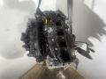 двигатель Ford Kuga 2 поколение 2014, 1.6 л., бензин, B4164T, JQMA, JQMB, B4164T3, JTDA, JTDB, JTMA, CJ56CD - фото №5
