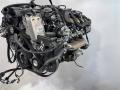 двигатель Mercedes-Benz CLK-Класс C209/A209 [рестайлинг] 2007, 5.5 л., бензин, купе, 273.960, 273961, 273924, 273.968, 273967, 273971, 273.962, 273, 273.922, 273.953, M273, M273961, . - фото №2