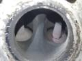 головка блока цилиндров Audi A4 B6 2003, 1.8 л., бензин, седан, AWT, AWM, AMB, AWC, AUG, AVJ, APX, BFB, BAM, AJH, AUQ, BEX, AWP - фото №16