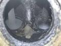 головка блока цилиндров Audi A4 B6 2003, 1.8 л., бензин, седан, AWT, AWM, AMB, AWC, AUG, AVJ, APX, BFB, BAM, AJH, AUQ, BEX, AWP - фото №16