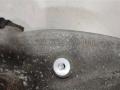 кулак поворотный левый Mercedes-Benz E-Класс W213/S213/C238/A238 2017, 2.0 л., бензин, купе, ., A2133324700 - фото №10