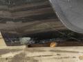 дверь задняя правая Porsche Macan 1 поколение 2017, 3.0 л., TDi, дизель, внедорожник 5 дв., ., 95B833312A - фото №22