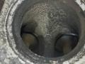 головка блока цилиндров Audi A4 B6 2003, 1.8 л., бензин, седан, AWT, AWM, AMB, AWC, AUG, AVJ, APX, BFB, BAM, AJH, AUQ, BEX, AWP - фото №13