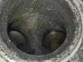 головка блока цилиндров Audi A4 B6 2003, 1.8 л., бензин, седан, AWT, AWM, AMB, AWC, AUG, AVJ, APX, BFB, BAM, AJH, AUQ, BEX, AWP - фото №14