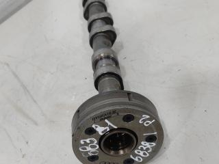 Распредвал выпускной Audi A4 B6 2003, 2.0 л., бензин, седан, BVZ, AWA, ., 06D109102AJ