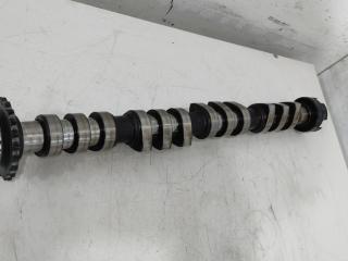 распредвал Volkswagen Passat B5 [рестайлинг] 2002, 1.8 л., бензин, седан, AWT, AWM, AMB, ANB, APU, AWC, AUG, AVJ, AEB, APT, APX, BFB, BAM, AJH, AUQ, BEX, ADR, AWU, AWV, BKF, AVV, AWP