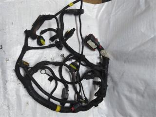 проводка двигателя Skoda Rapid 1 поколение 2014, 1.2 л., бензин, хетчбэк 5 дв., 55203698, .