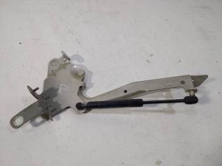 петля капота Renault Scenic 3 поколение 2009, 654000004R