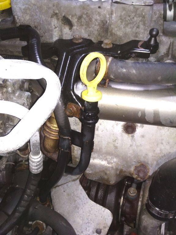 щуп двигателя Opel Astra H 2004, 1.7 л., дизель, МКПП - фото №1