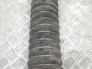 патрубок интеркулера DAF XF 105 1 поколение 2005, 1378391