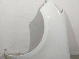 крыло переднее левое Renault Clio 3 поколение [рестайлинг] 2009, 8200256117