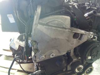 защита (кожух) ремня ГРМ Renault Kangoo 1 поколение 2002, 1.2 л., бензин, МКПП, 8200032089