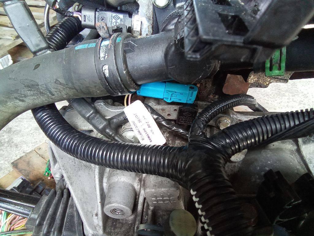 датчик распредвала Renault Kangoo 1 поколение 2002, 1.2 л., бензин, МКПП - фото №1