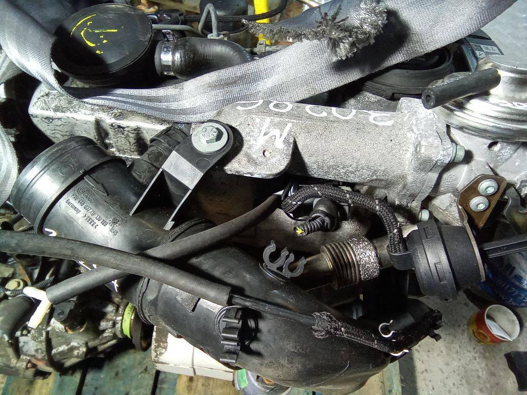 коллектор впускной Volkswagen Golf 4 поколение 2000, 1.9 л., дизель, МКПП - фото №1