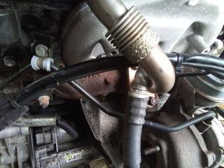 коллектор выпускной Volkswagen Passat B5 [рестайлинг] 2004, 1.9 л., дизель, МКПП