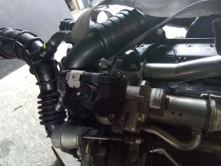 клапан EGR Renault Modus 2 поколение 2010, 1.5 л., дизель, МКПП, 7003680600