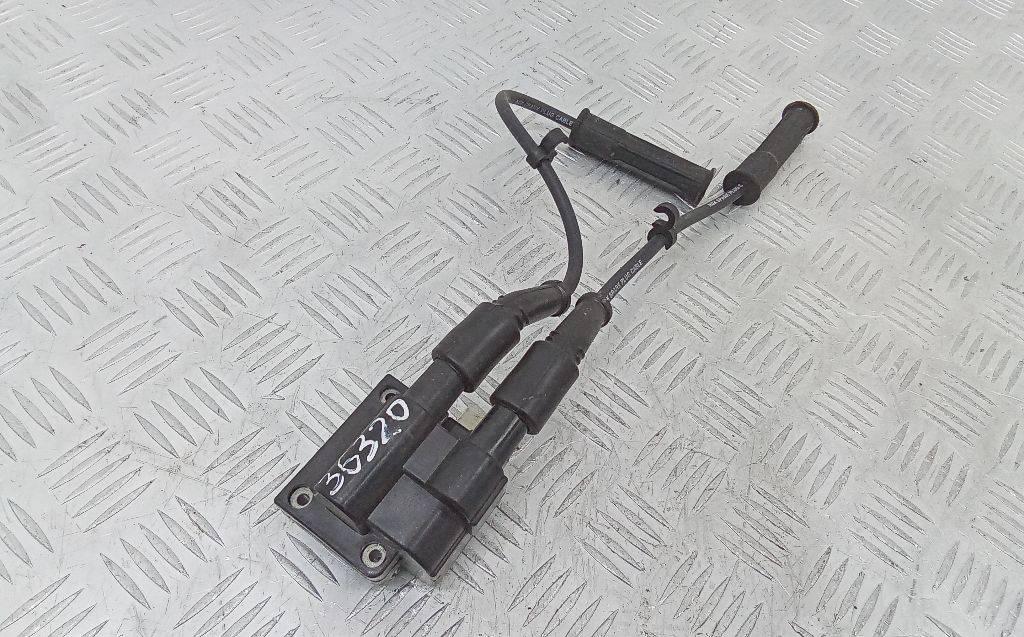 катушка зажигания Renault Clio 2 поколение 1998, 1.4 л., бензин, МКПП - фото №1