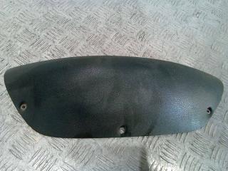 пластик DAF XF 105 1 поколение 2005, 1446850