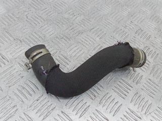 патрубок радиатора Ford Fiesta 7 поколение 2020, 1.5 л., дизель, МКПП