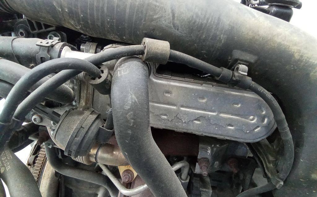 охладитель EGR / Радиатор EGR Volkswagen Passat B6 2005, 2.0 л., дизель, МКПП, 038131513 - фото №1