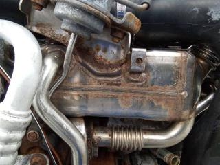 охладитель EGR / Радиатор EGR Opel Zafira Family [рестайлинг] 2010, 1.7 л., дизель, МКПП