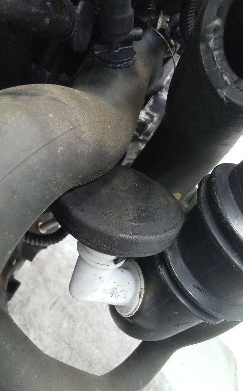 маслоотделитель (сапун) Dacia Logan 1 поколение 2006, 1.5 л., дизель, МКПП - фото №1