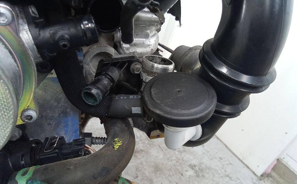 маслоотделитель (сапун) Renault Clio 3 поколение 2007, 1.5 л., дизель, МКПП - фото №1