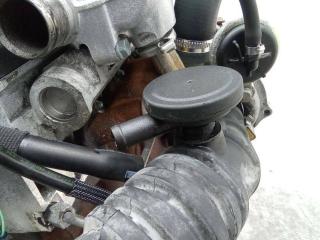 маслоотделитель (сапун) Renault Kangoo 1 поколение [рестайлинг] 2004, 1.5 л., дизель, МКПП, 3911171924