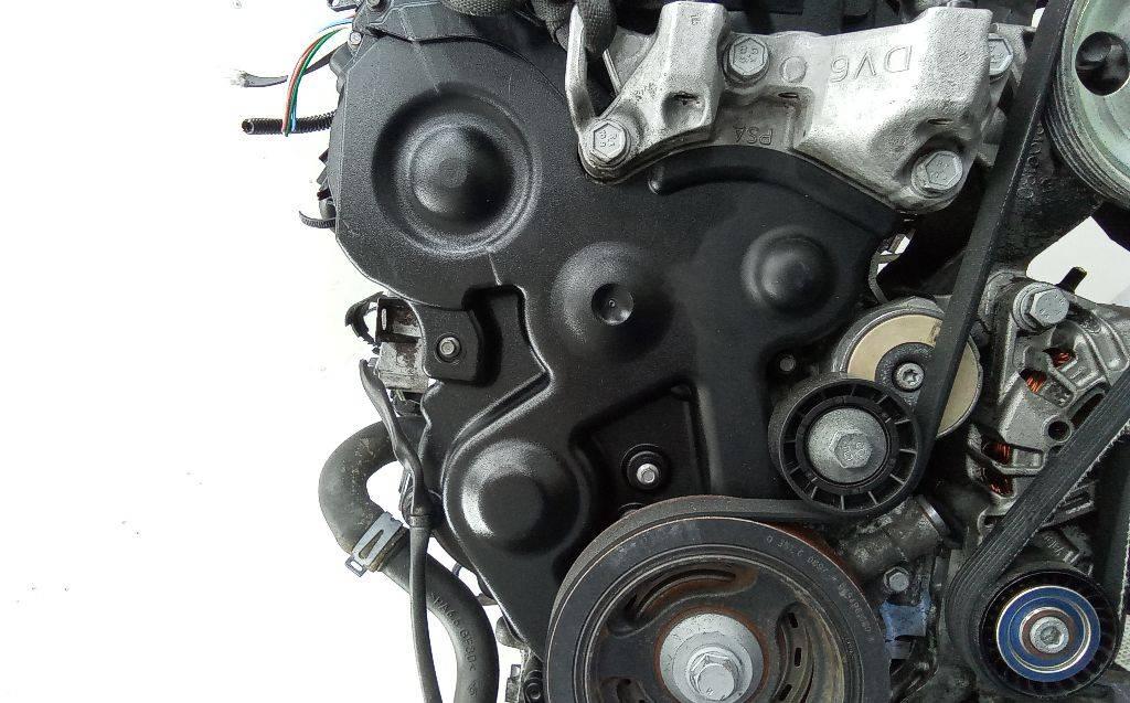 защита (кожух) ремня ГРМ Citroen Berlingo 2 поколение (B9) 2010, 1.6 л., дизель, МКПП - фото №1