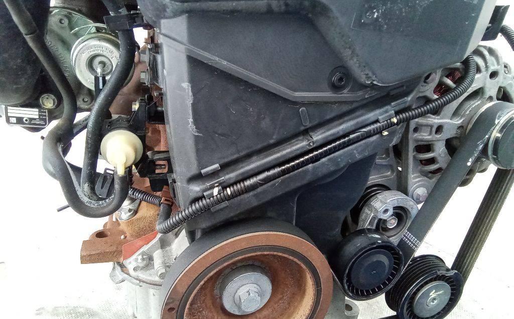 защита (кожух) ремня ГРМ Dacia Sandero 2 поколение 2013, 1.5 л., дизель, МКПП - фото №1