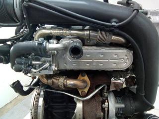 охладитель EGR / Радиатор EGR Volkswagen Golf 5 поколение 2005, 1.9 л., дизель, МКПП, 038131513