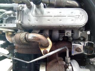 коллектор впускной Volkswagen Golf 5 поколение 2005, 1.9 л., дизель, МКПП, 02120413