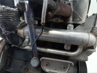 охладитель EGR / Радиатор EGR SEAT Ibiza 4 поколение 2009, 1.4 л., дизель, МКПП, 045131513