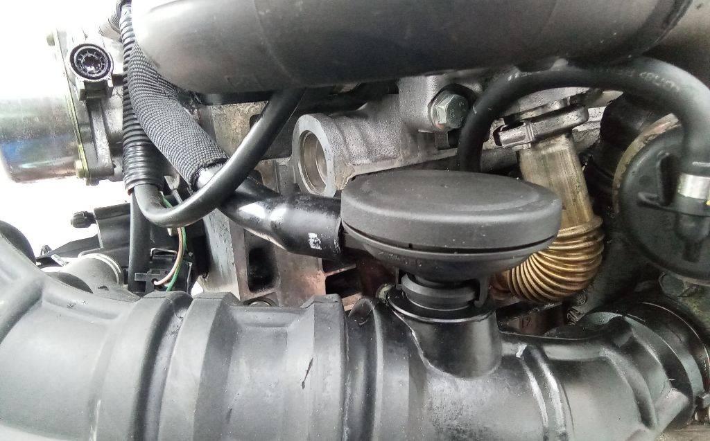 маслоотделитель (сапун) Renault Modus 1 поколение 2005, 1.5 л., дизель, МКПП - фото №1