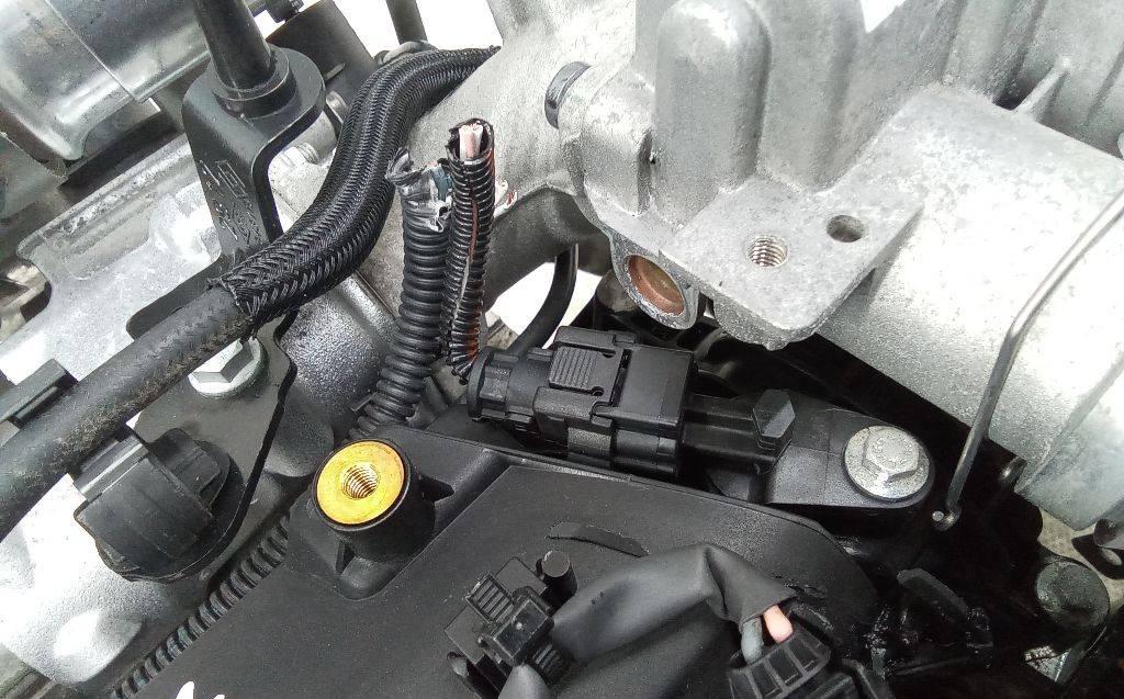 датчик распредвала Dacia Duster 1 поколение 2012, 1.5 л., дизель, МКПП - фото №1